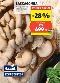 ALDI Laskagomba ajánlat