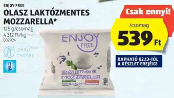 ALDI Enjoy Free Olasz laktózmentes ajánlat