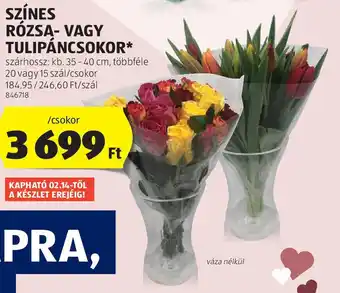 ALDI Színes rózsa / tulipáncsokor ajánlat