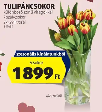 ALDI Tulipáncsokor ajánlat