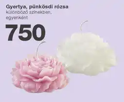 Kik Gyertya, pünkösdi rózsa ajánlat