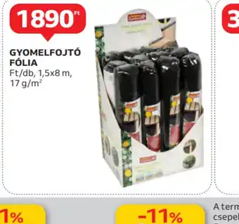 Auchan Gyomfojt flia ajánlat