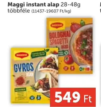 PRIVÁT Maggi instant alap ajánlat