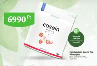 EcoFamily Nutriversum casein pro fehérjepor ajánlat