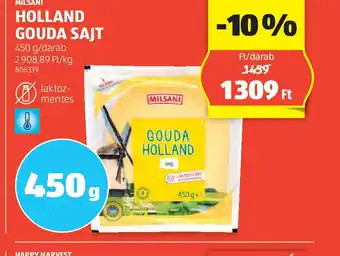 ALDI Holland Gouda sajt ajánlat