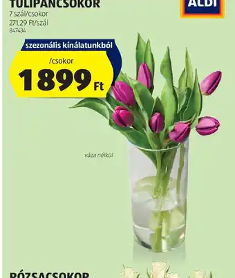 ALDI Tulipáncsokor ajánlat