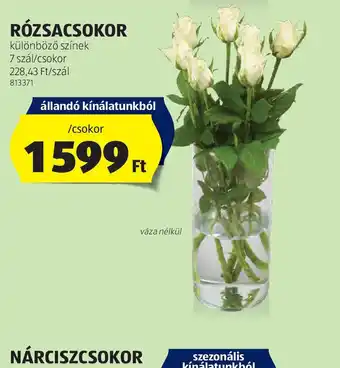 ALDI Rzsacsokor ajánlat