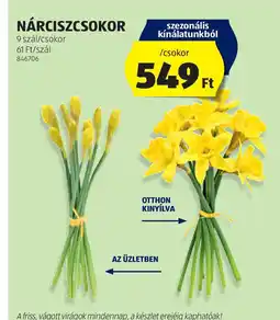 ALDI Nárciszcsokor ajánlat