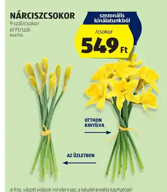 ALDI Nárciszcsokor ajánlat