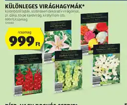 ALDI Különleges Virághagymá ajánlat