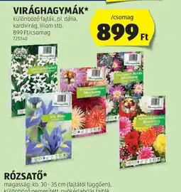 ALDI Virághagymá ajánlat