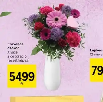 Tesco Provence csokor ajánlat