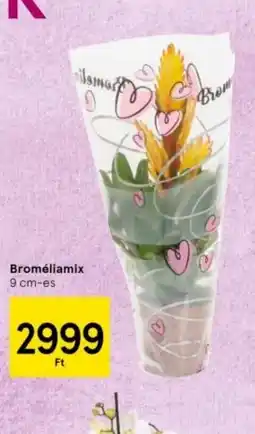 Tesco Bromélia mix ajánlat