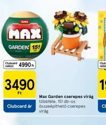 Tesco Max Garden cserépes virág ajánlat