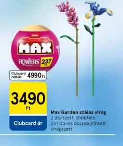 Tesco Max Garden szalagos virág ajánlat