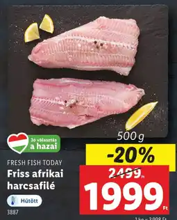 Lidl Fresh fish today friss afrikai harcsafilé ajánlat