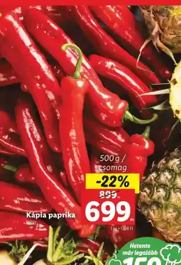 Lidl Kápia paprika ajánlat