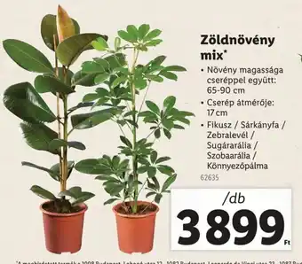 Lidl Zöldnövény mix ajánlat