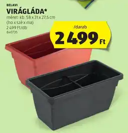 ALDI Belavi virágláda ajánlat