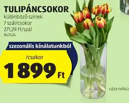 ALDI Tulipáncsokor ajánlat