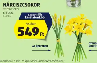 ALDI Nárciszcsokor ajánlat