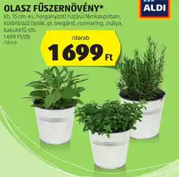 ALDI Olasz fűszernövény ajánlat