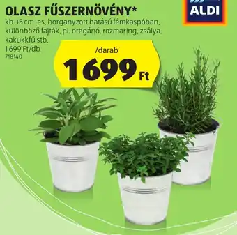 ALDI Olasz fűszernövény ajánlat