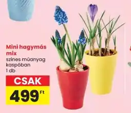 Spar Mini hagymás mix ajánlat