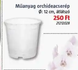 Bauhaus Műanyag orchideacserép ajánlat