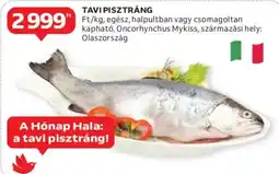 Auchan Tavi pisztráng ajánlat