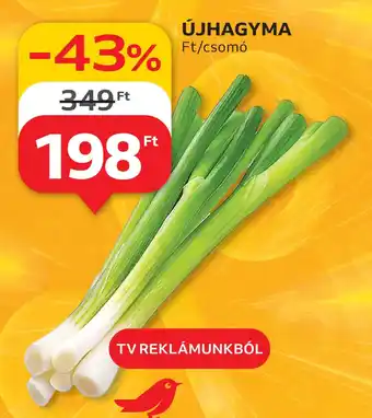 Auchan Újhagyma ajánlat