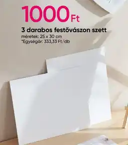 Pepco 3 darabos festővászon szett ajánlat