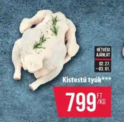 Coop Kistestű tyúk ajánlat