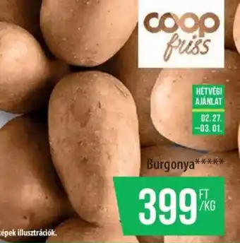 Coop Burgonya ajánlat