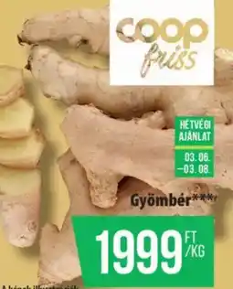 Coop Gyömbér ajánlat