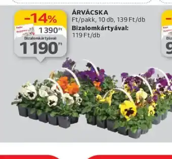 Auchan Árvacska ajánlat