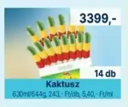 Family Frost Kaktusz ajánlat