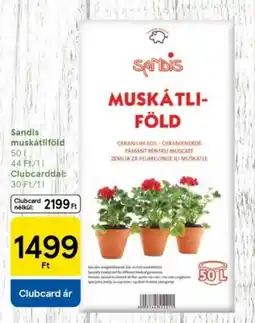 Tesco Sandis muskátliföld ajánlat