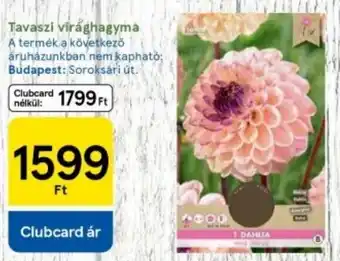 Tesco Tavaszi virághagyma ajánlat