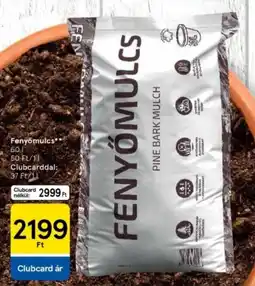 Fenyomulcs