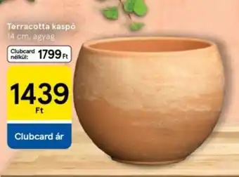 Tesco Terracotta kaspó ajánlat