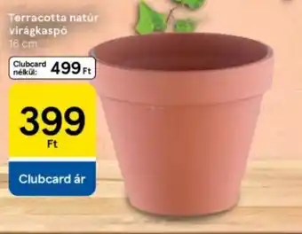 Tesco Terracotta natúr virágkaspó ajánlat