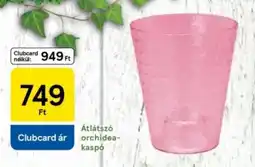 Tesco Átlátszó orchidea- kaspó ajánlat