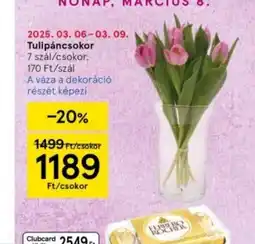 Tesco Tulipáncsokor ajánlat