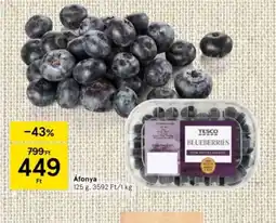 Tesco Tesco Blueberries ajánlat