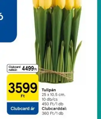 Tesco Tulipán ajánlat