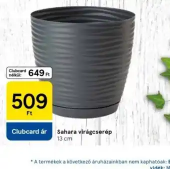 Tesco Sahara virágcserép ajánlat