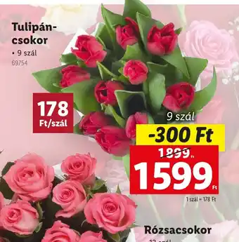 Lidl Tulipán-csokor ajánlat