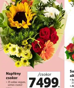 Lidl Napfény csokor ajánlat