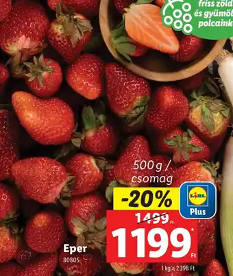 Lidl Eper ajánlat